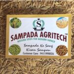 Pusa Basmati Paddy Seeds 1885 6Kg Pack|Dhan, Rice & Paddy Seeds For Farming & Agriculture (Kheti ????)|Pure Pusa Basmati Rice Seeds 1885|6 Kg
